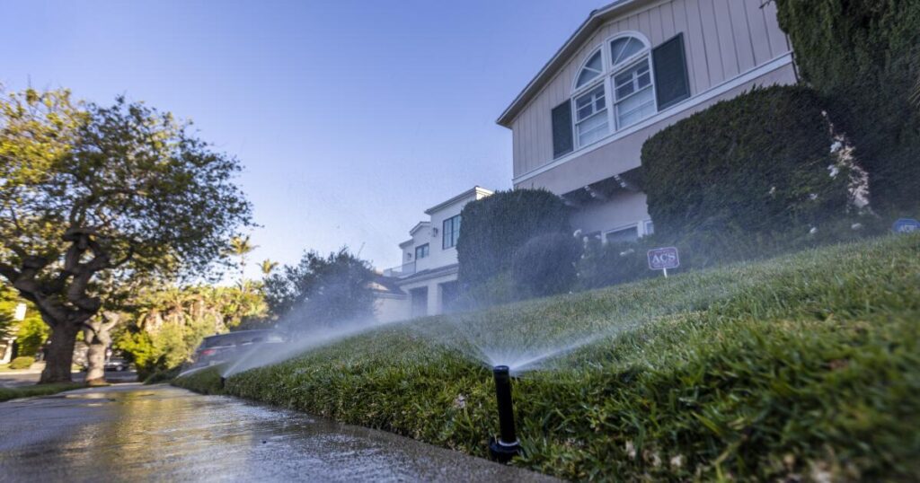 Opinion: California Must Conserve Water. Why Is Sacramento Declining?