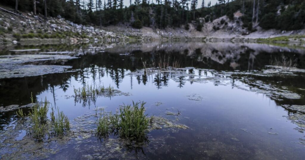 Pesticide Spraying Closes Crystal Lake Recreation Area