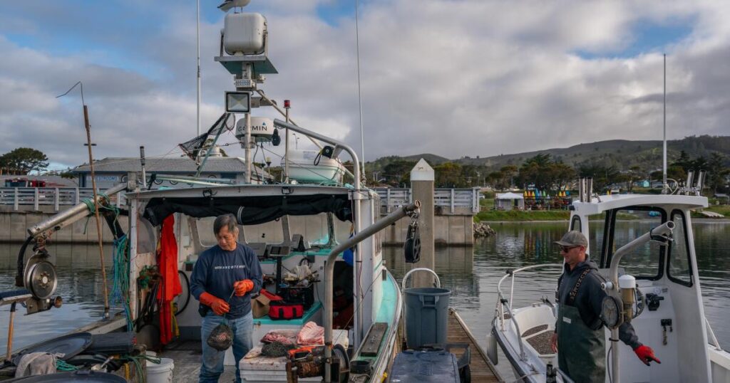 The Salmon Are Suffering, And The Fishing Fleet Is Suffering