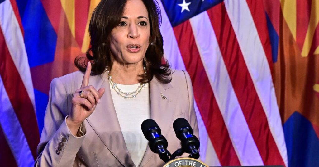 Voters Are Not Sold On Kamala Harris Despite Her Increasing